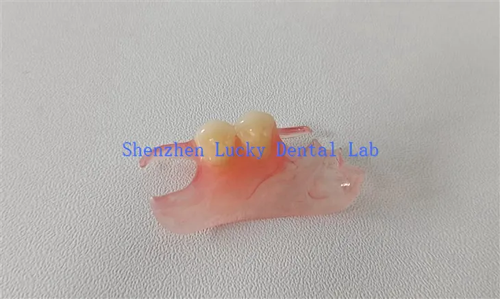 Chine Dental Valplast Flipper Factory